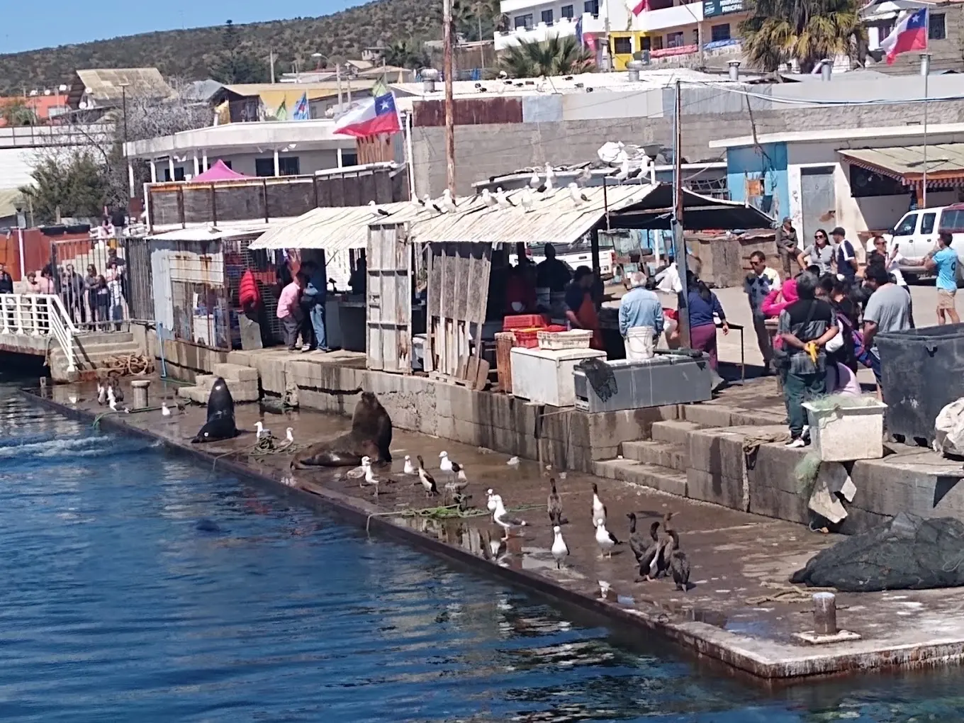 Caleta de Guanaqueros