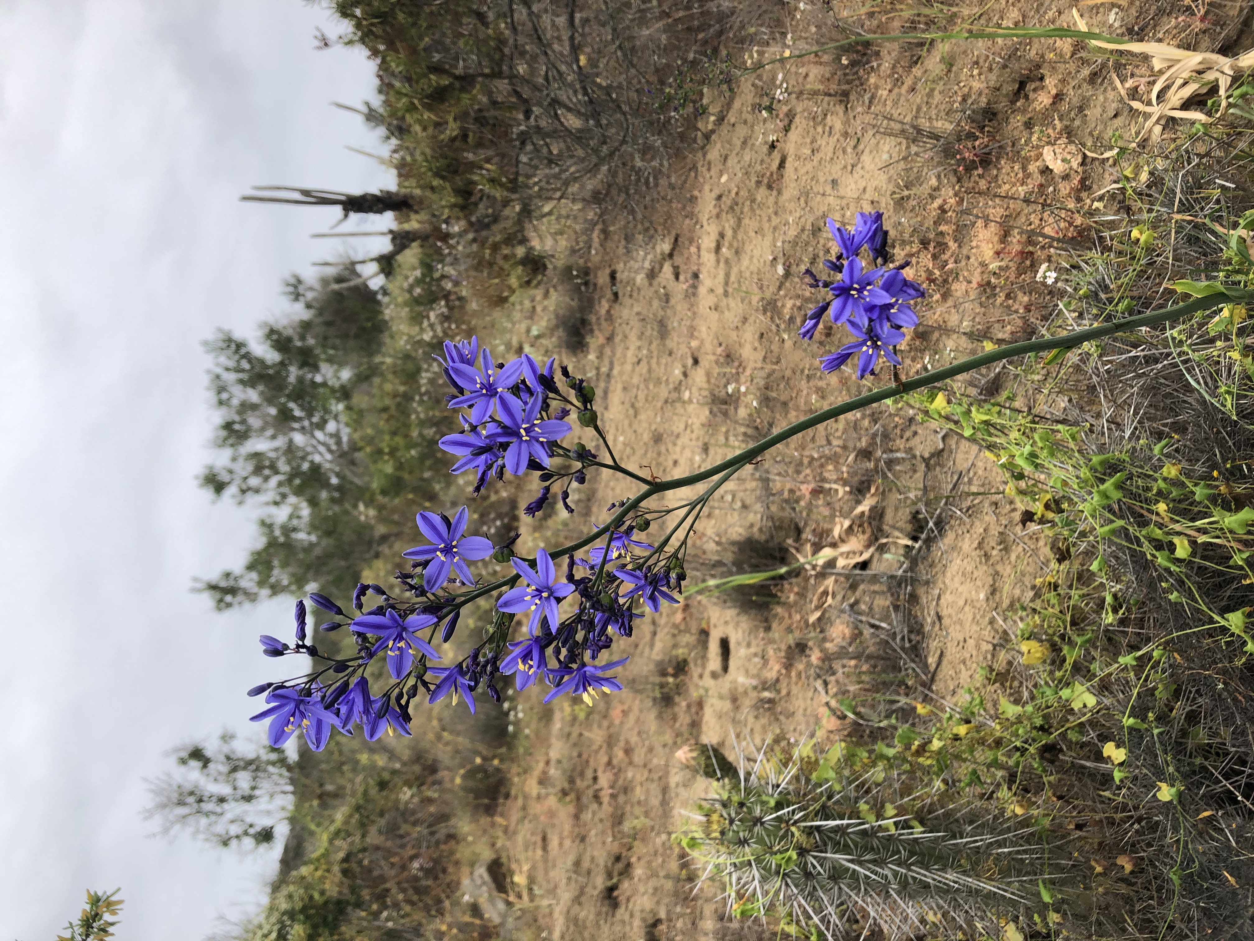 Taller de Cocina Local